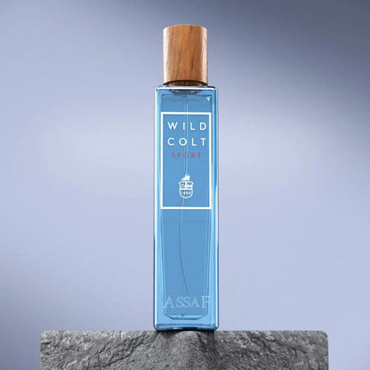 LAST DAY OF DISCOUNT🔥  ASSAF WILD COLT + GRIS ERIK PERFUME SET –  400ML